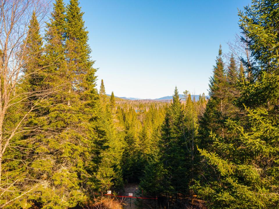 19 Blueberry Hill Rd-30