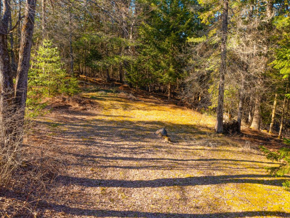19 Blueberry Hill Rd-31