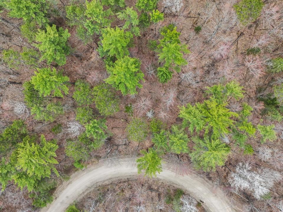 DJI_20250424122952_0030_D_