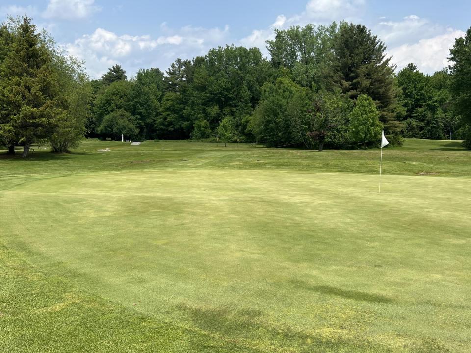 IMG_8126(1) IMG_8126(1)