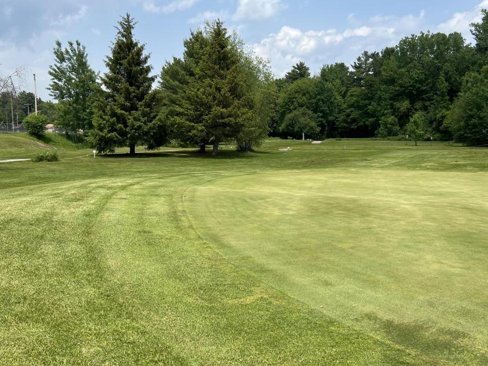 IMG_8127(1) IMG_8127(1)