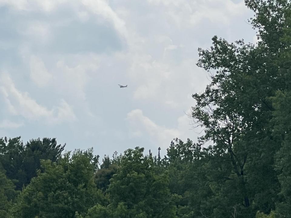 IMG_8134(1) IMG_8134(1)