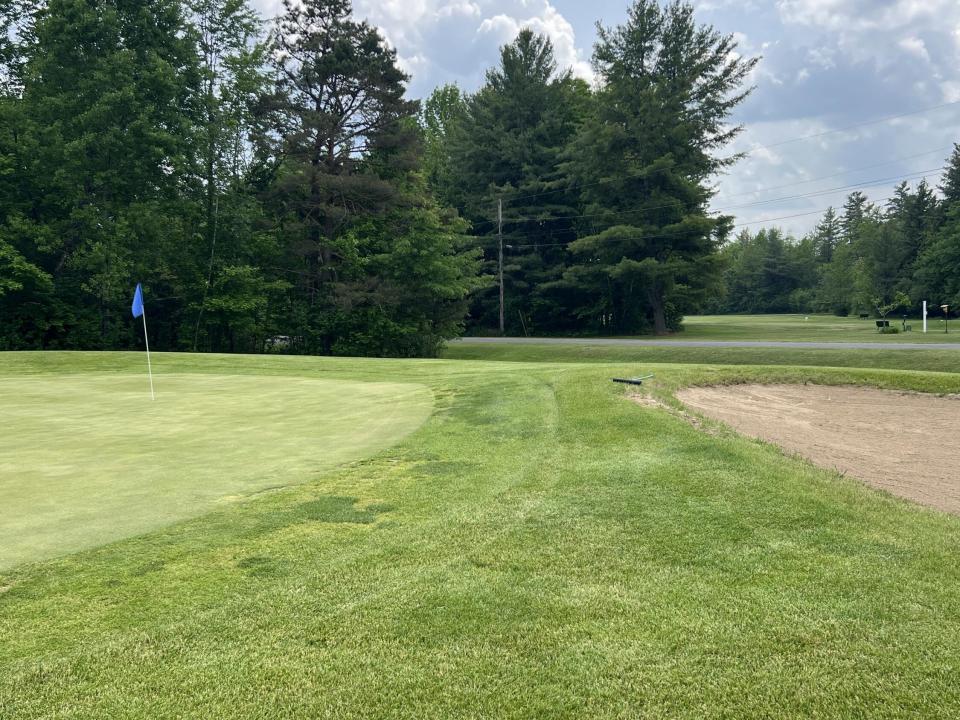 IMG_8136(1) IMG_8136(1)