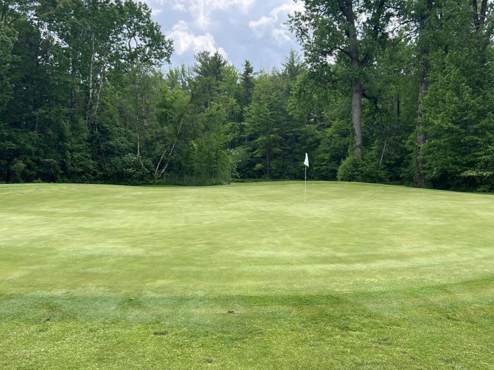 IMG_8140(1) IMG_8140(1)