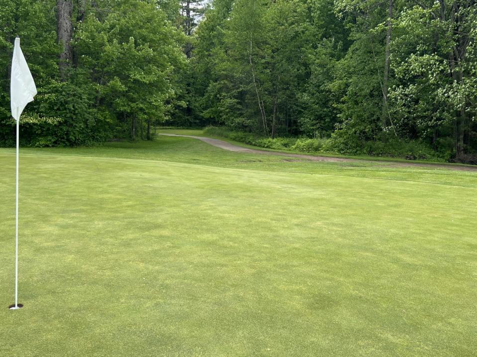 IMG_8142(1) IMG_8142(1)