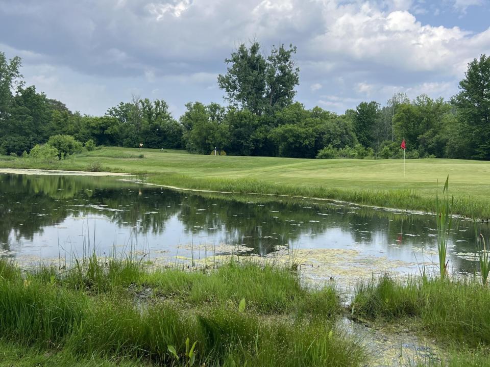 IMG_8146(1) IMG_8146(1)