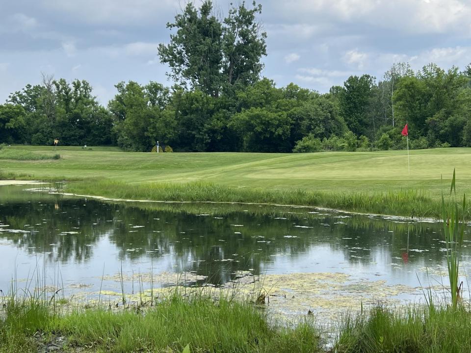 IMG_8148(1) IMG_8148(1)