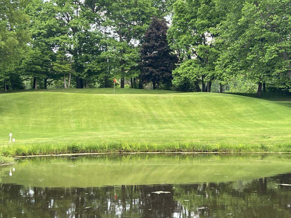 IMG_8154(1) IMG_8154(1)