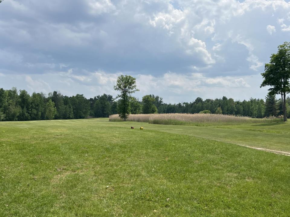 IMG_8163(1) IMG_8163(1)