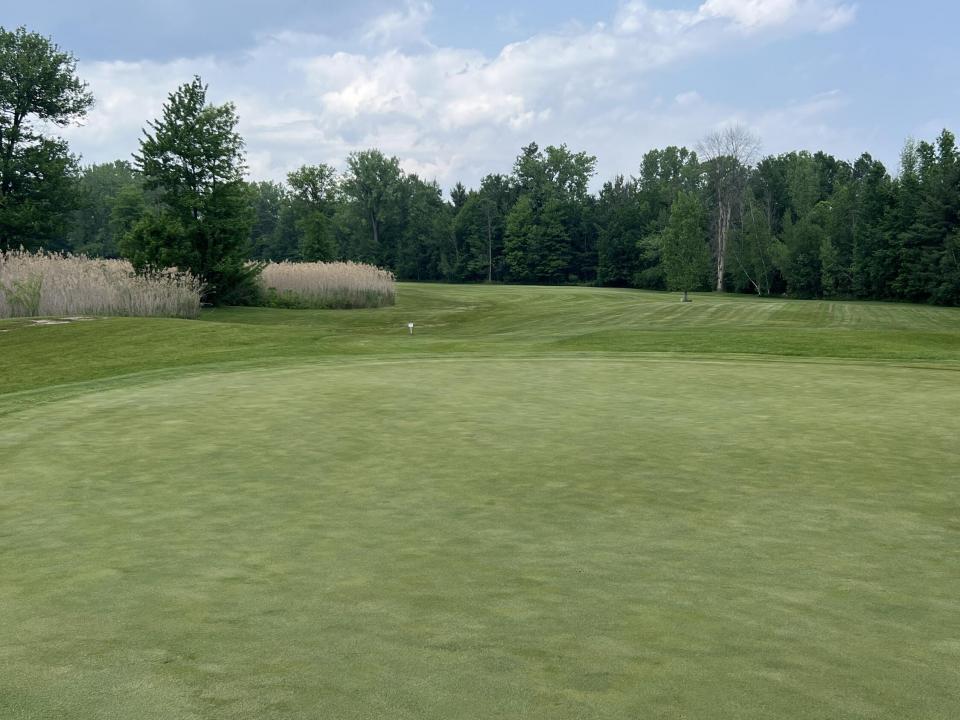 IMG_8167(1) IMG_8167(1)