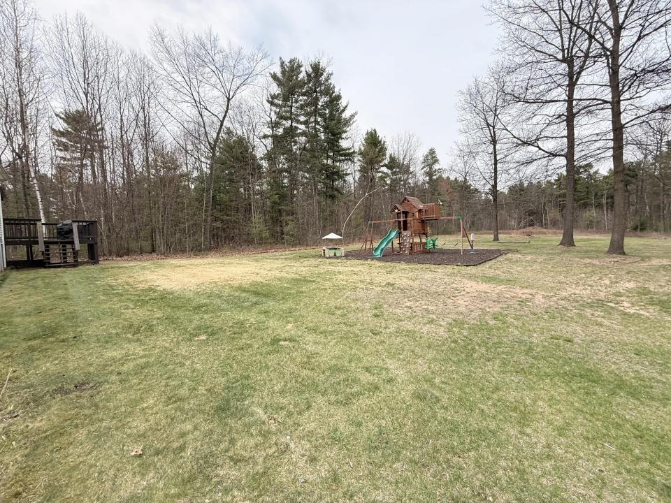 Back yard