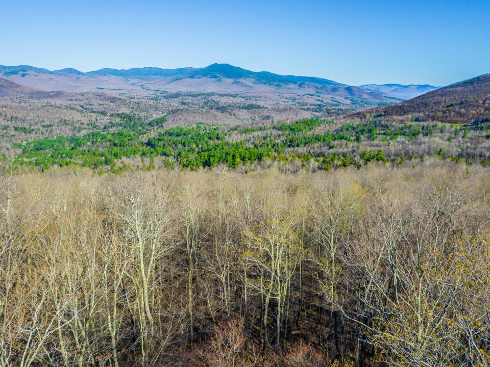 DJI_0778