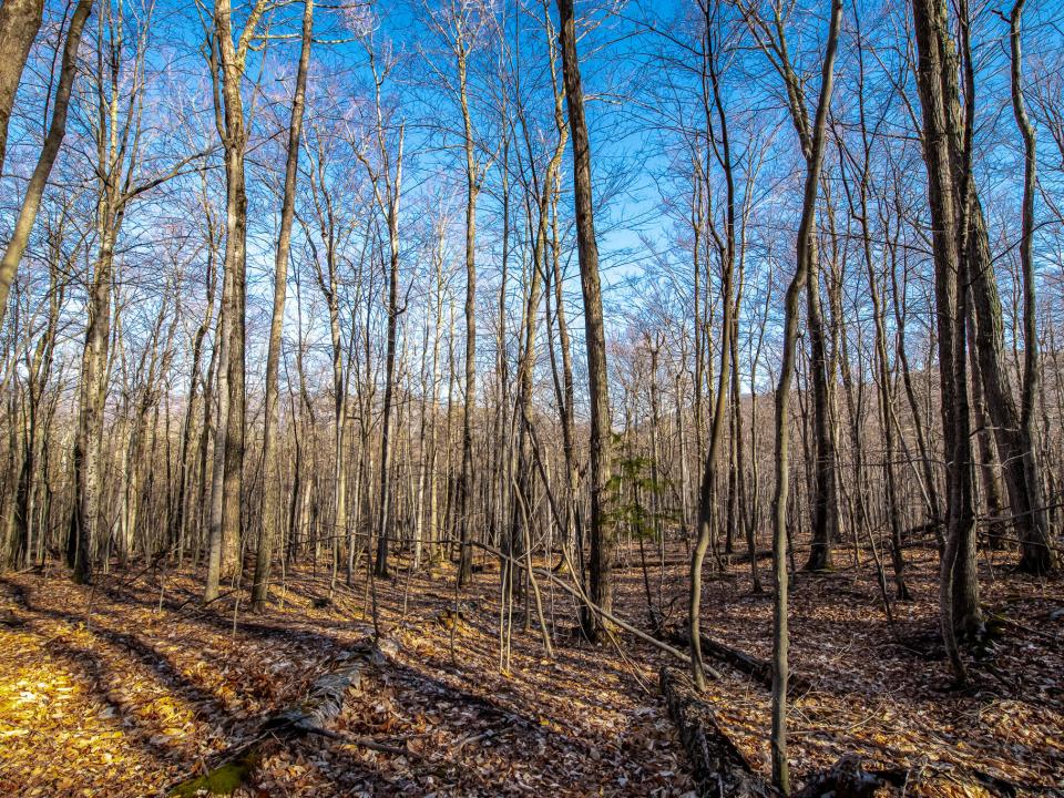 DSC_2762-HDR