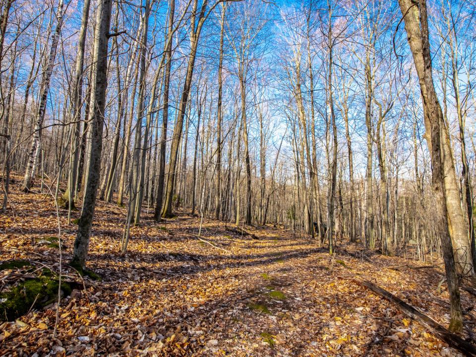 DSC_2765-HDR