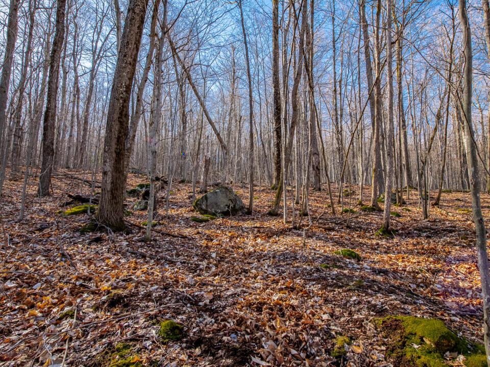 DSC_2768-HDR