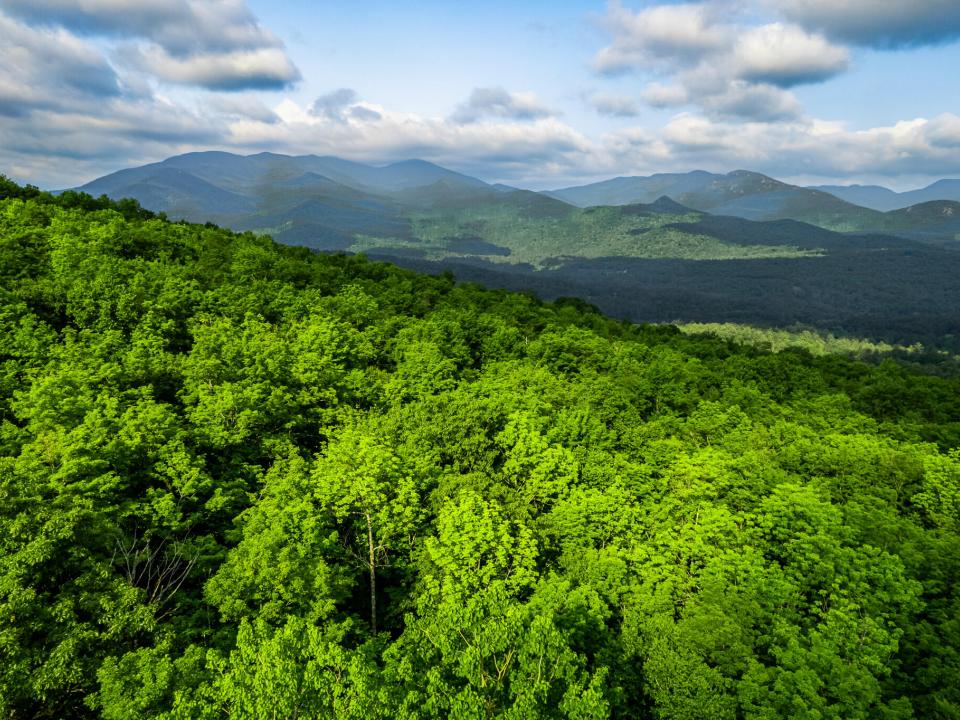 DJI_0810