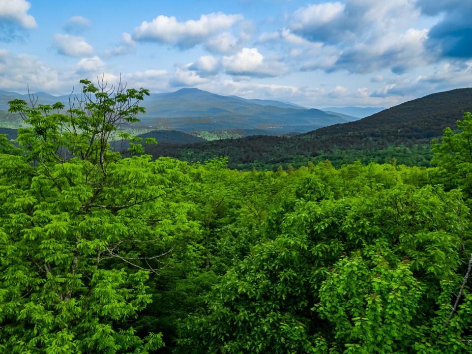 DJI_0808 DJI_0808