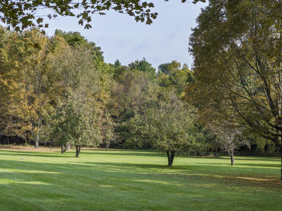 W28-NY0500-DJI_20230928102332_0069_D_JCM