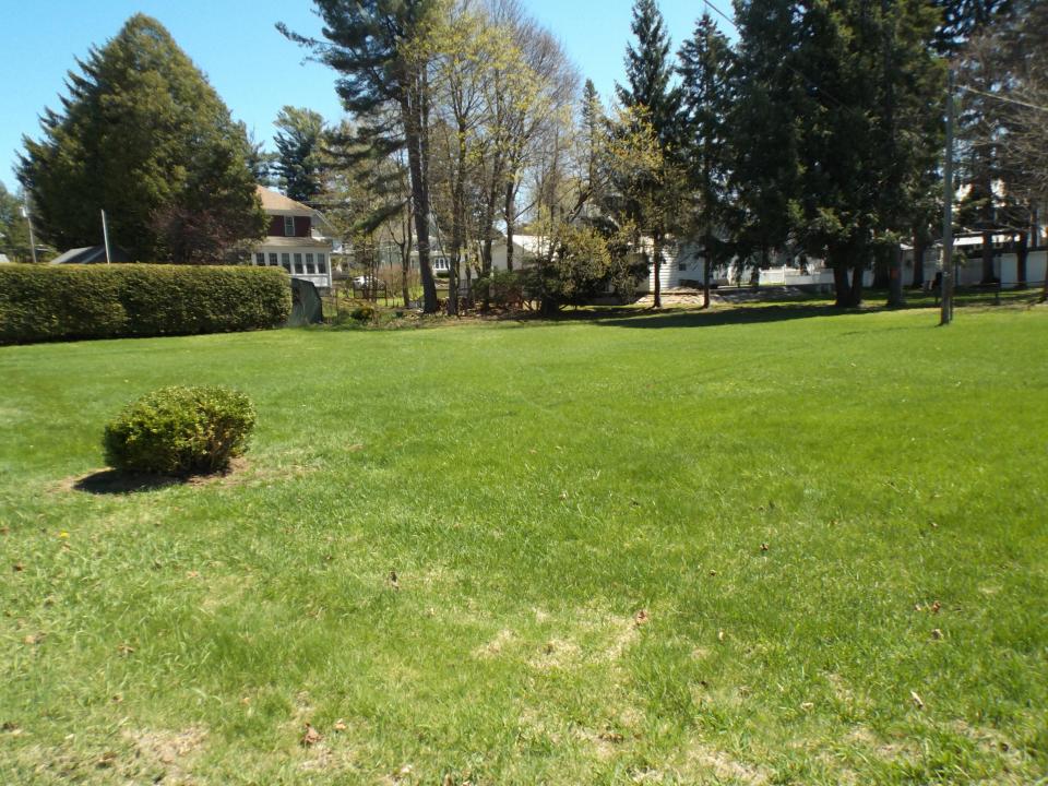 DSCF0407