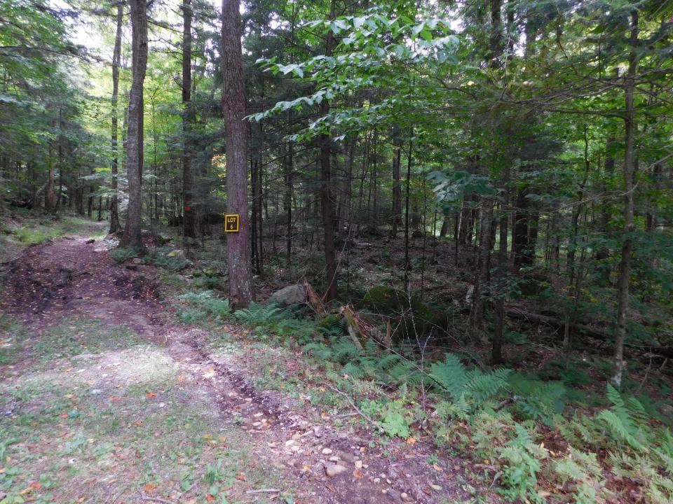 Lot # 6