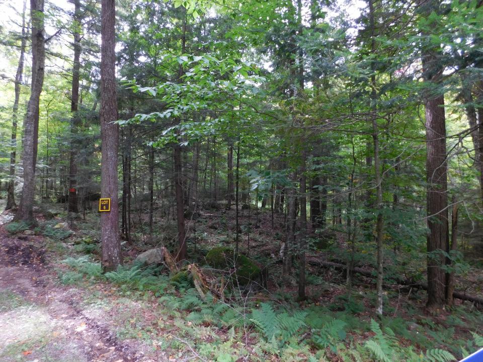 Lot # 6