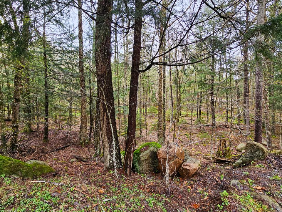 Lot # 6