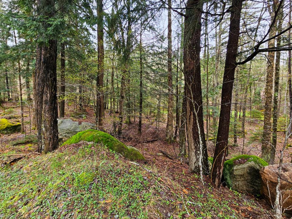 Lot # 6
