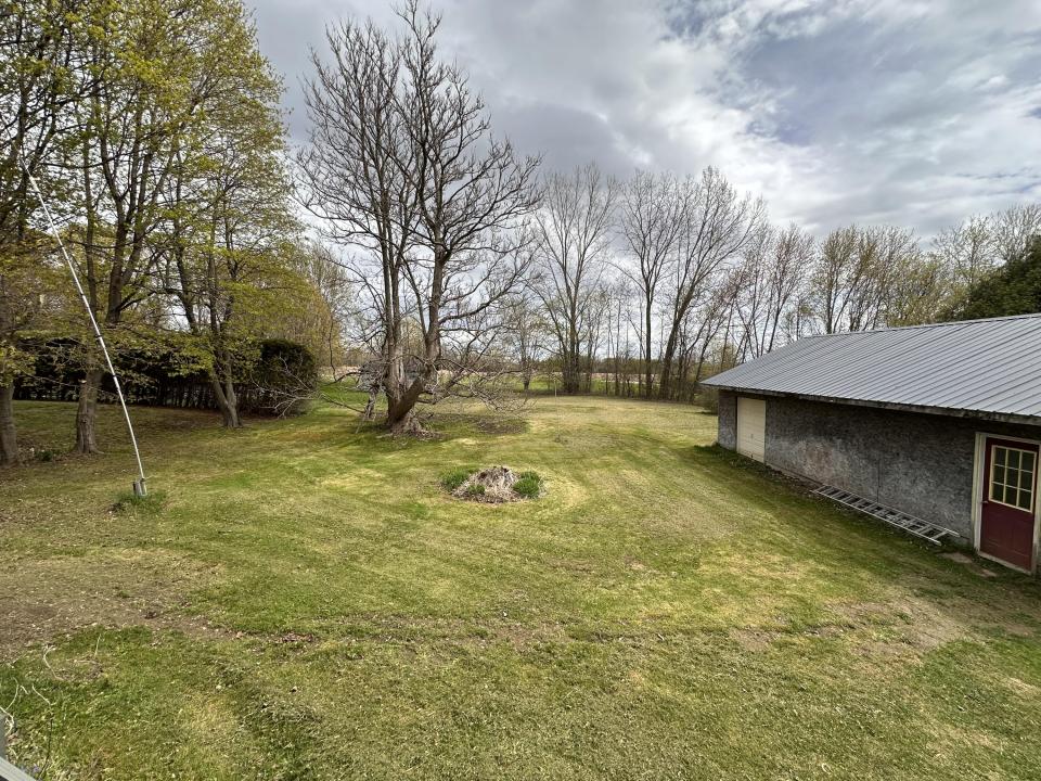 View of Backyard