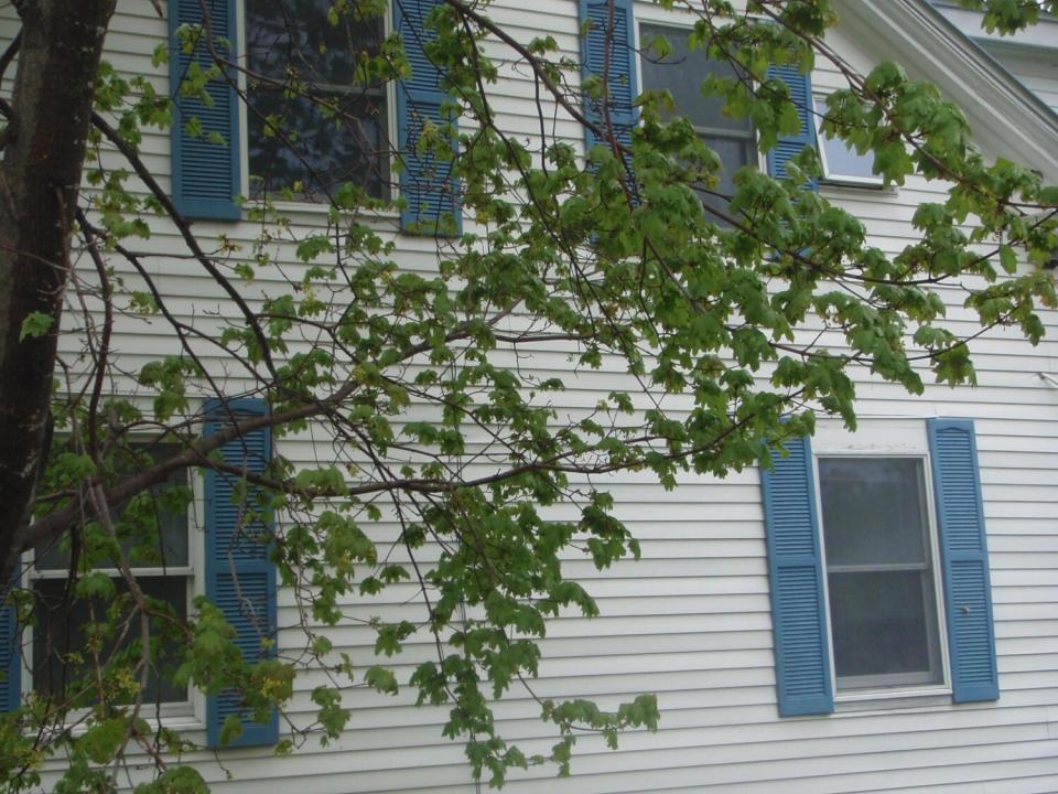 P1010669