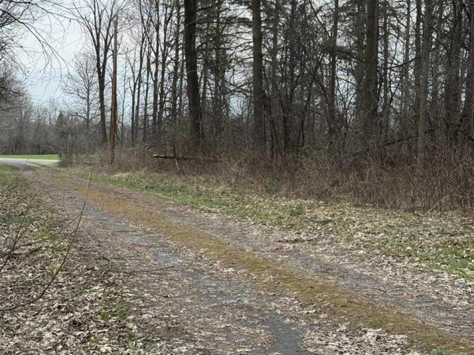 access road