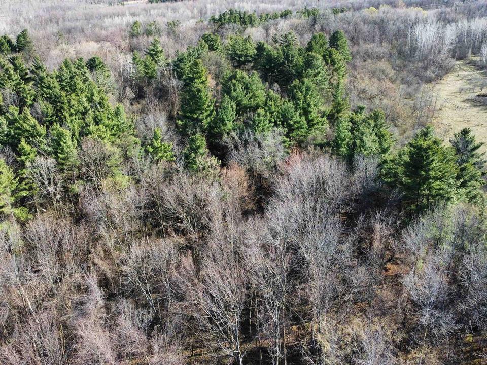 drone shot