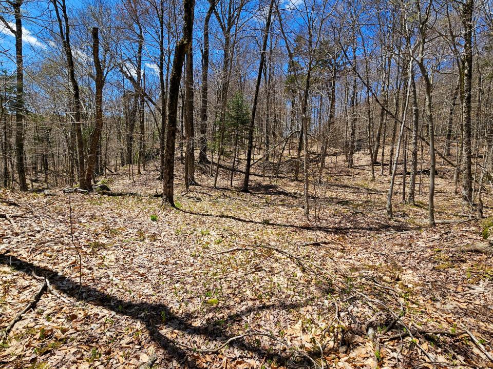 2.68 Acres