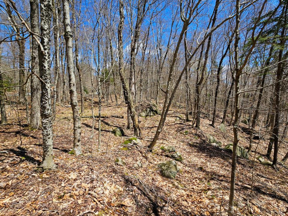2.68 Acres