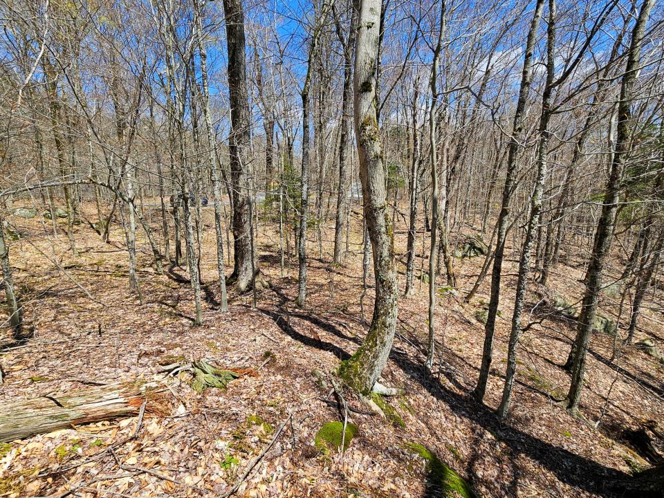2.68 Acres