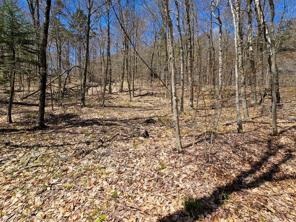 2.68 Acres