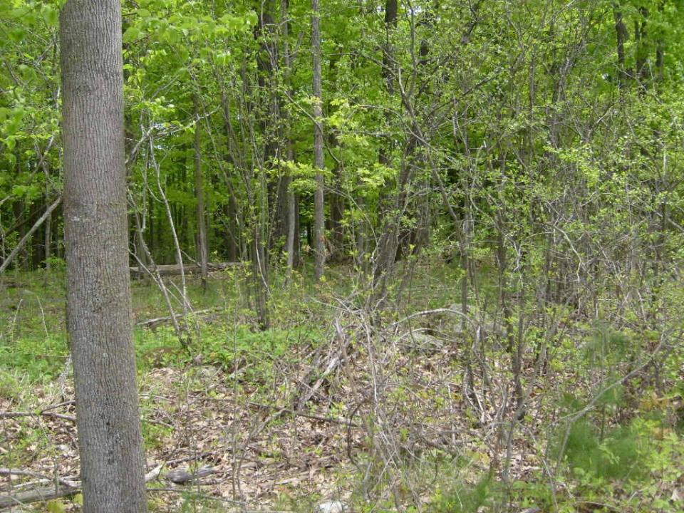 S6303205