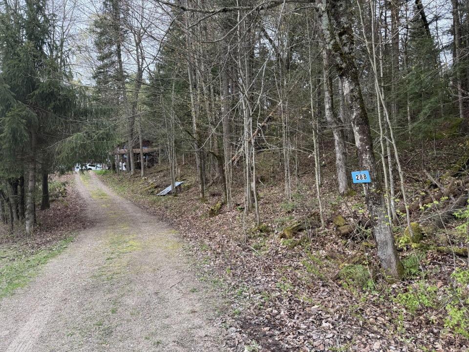 Wolf Pond B