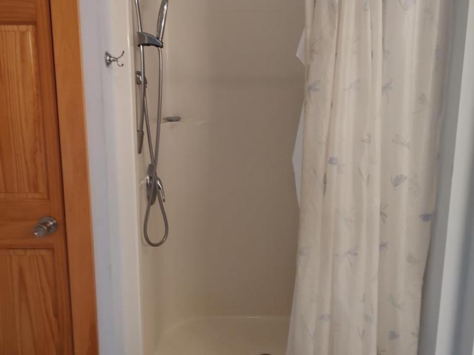 Primary Bath Walk-in Shower