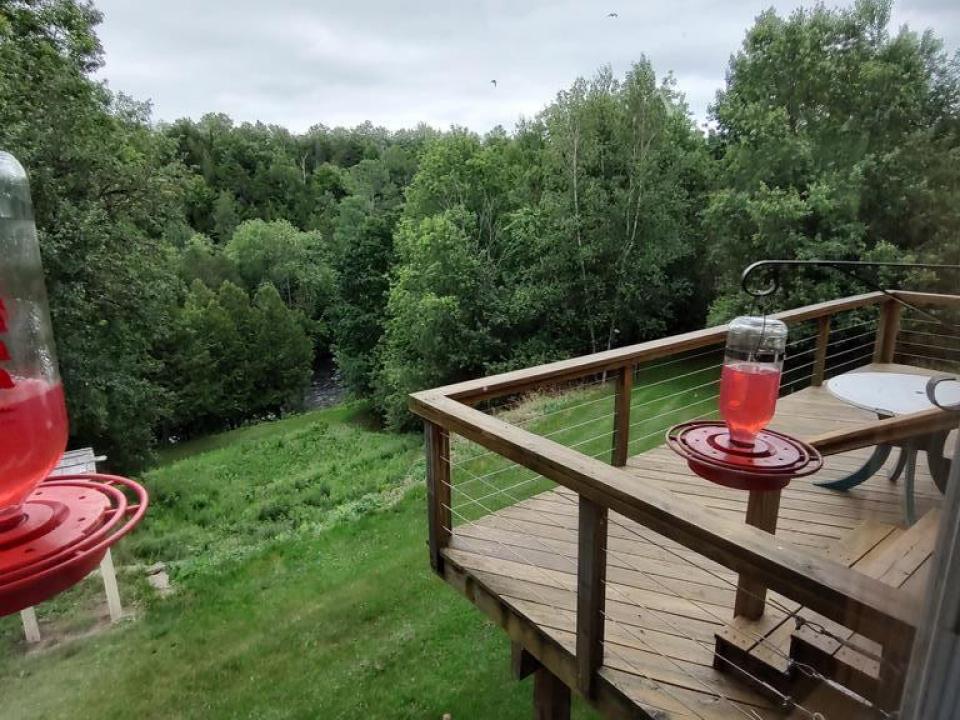 View from Dining Room Window