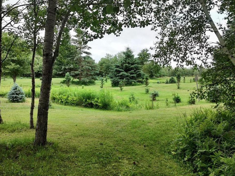 Photo 45