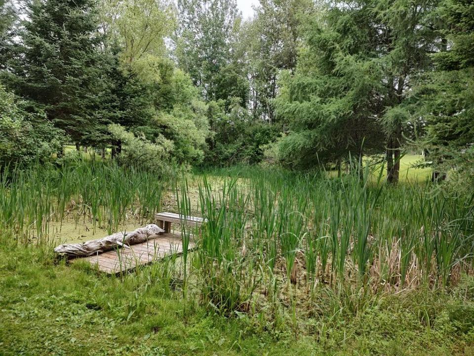Small Pond