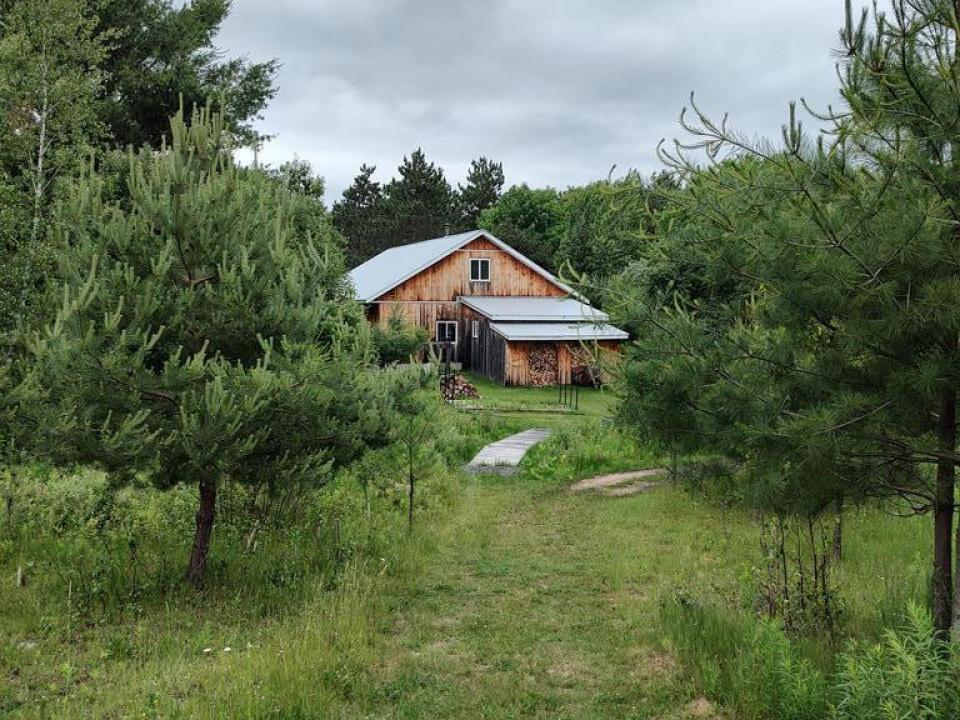 View From Tree Farm-Back of Workshop