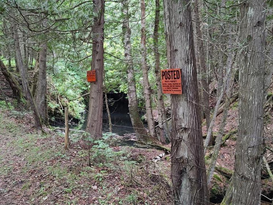 Along the Mine