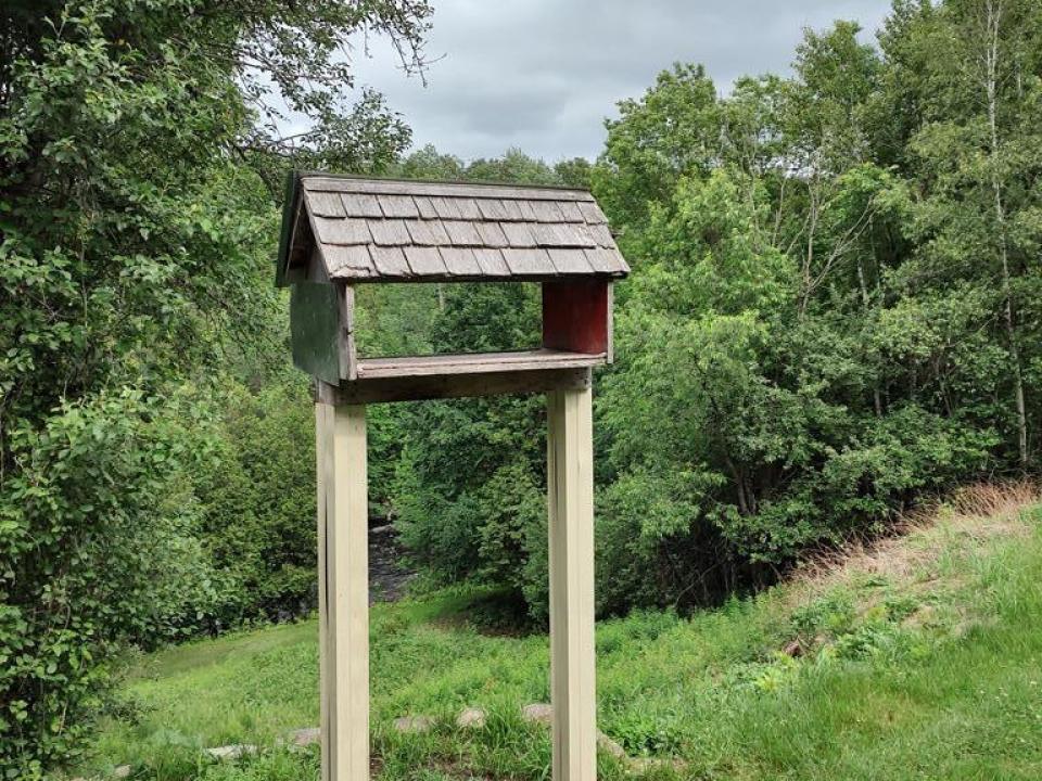 Bird feeder Off Deck Area