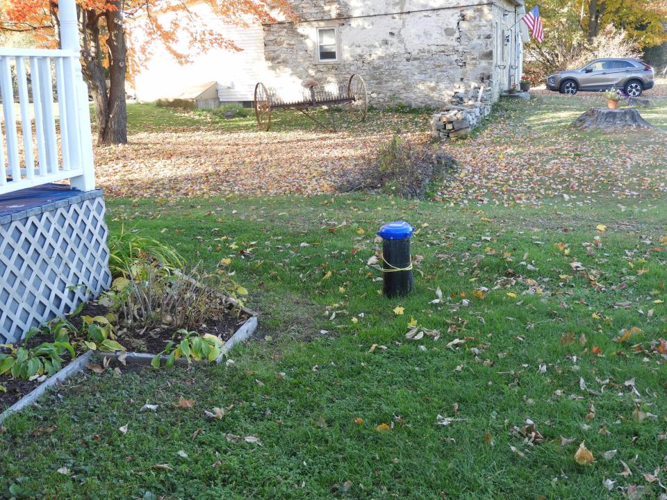 DSCN3088