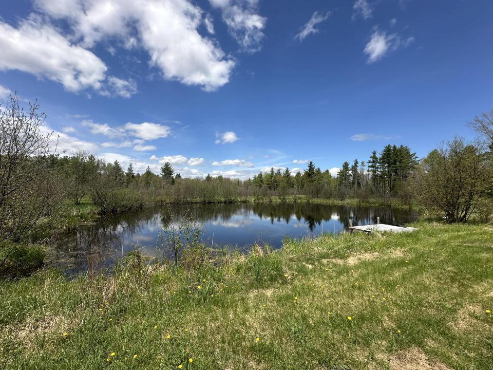 image_50417921