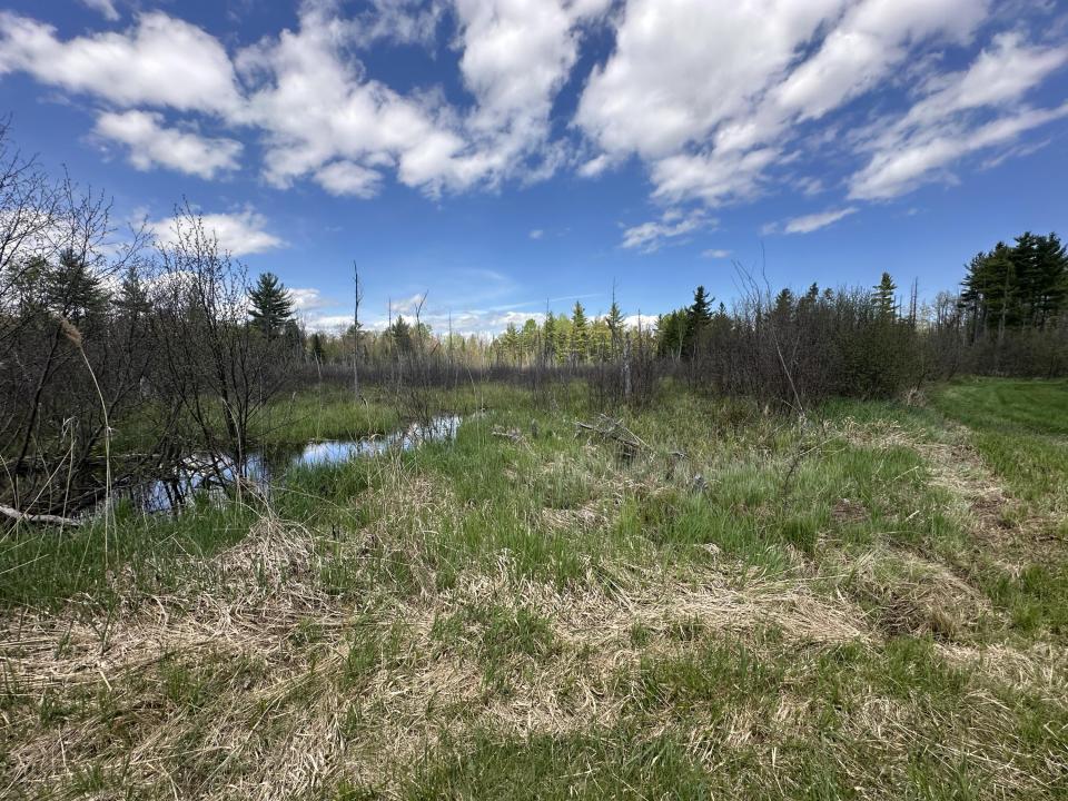 image_50754305