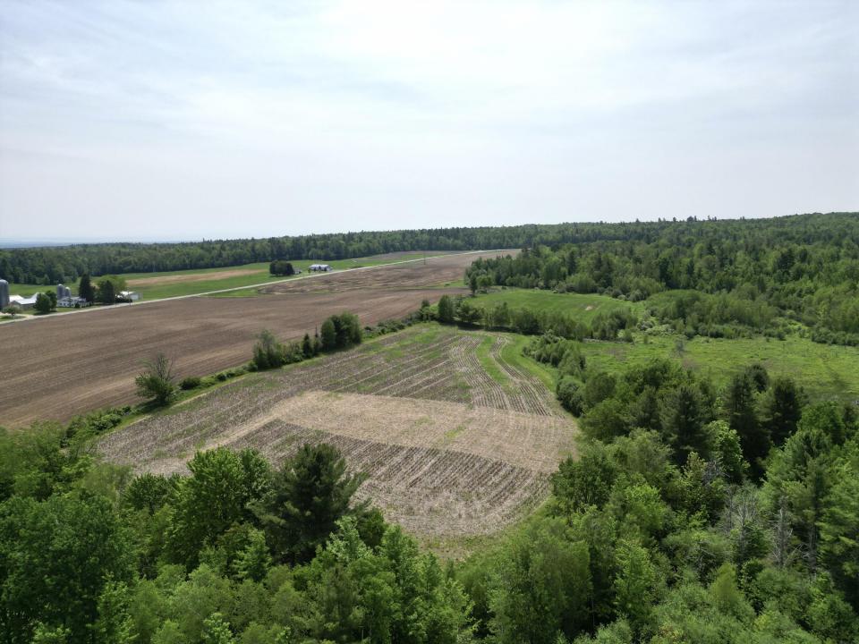 dji_fly_20250604_114246_538_174905405496