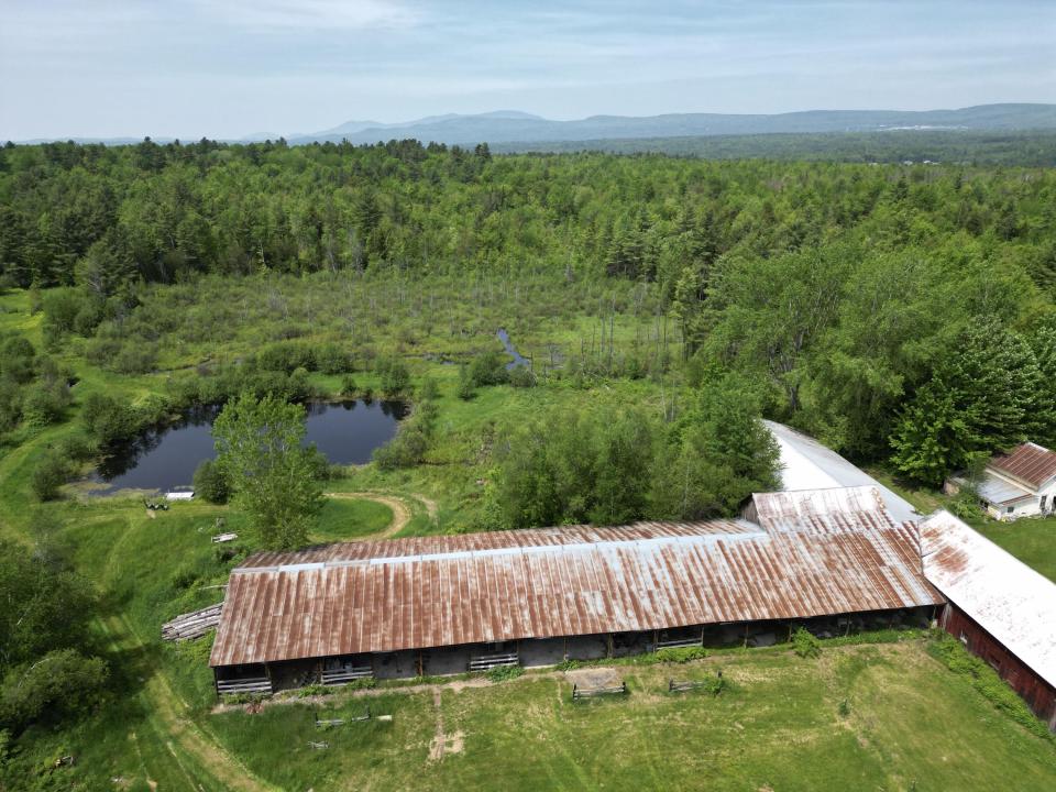 dji_fly_20250604_114628_542_174905405372
