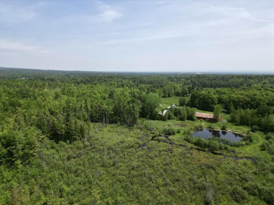 dji_fly_20250604_115458_554_174905396603
